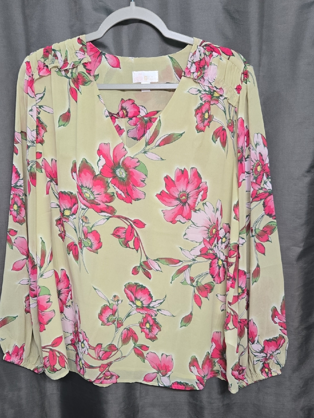 NWOT Belle by Kim Gravel Light Green Blouse with Pink Floral Print